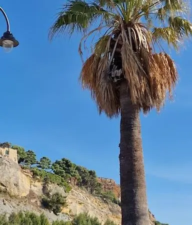Rez De Port Miou Pres Calanques De Cassis Apartment