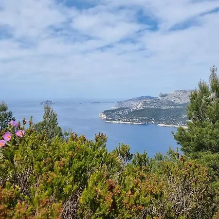 Rez De Port Miou Pres Calanques De Cassis *